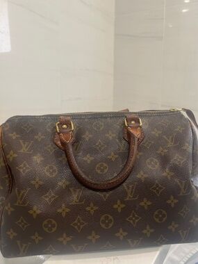 Louis Vuitton Monogram Speedy 30 Handbag in Brown